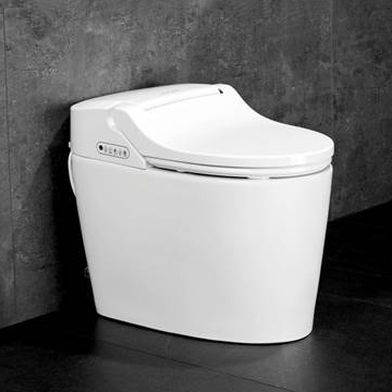 Nắp bồn cầu thông minh ZJ-AS5021