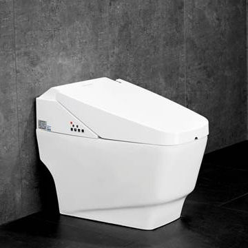 Nắp bồn cầu thông minh ZJ-AG109