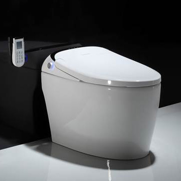 Nắp bồn cầu thông minh VG9061