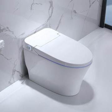 Nắp bồn cầu thông minh VG2005