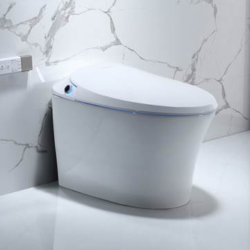 Nắp bồn cầu thông minh VG908-2