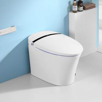 Nắp bồn cầu thông minh VG20016