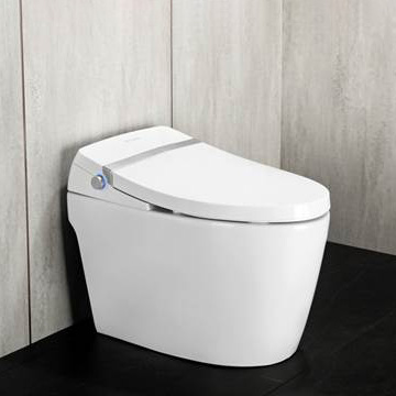 Nắp bồn cầu thông minh ZJ-AG5095G