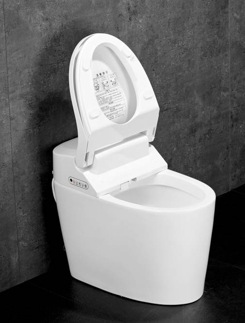 Nắp bồn cầu thông minh ZJ-AS5021 Nắp bồn cầu thông minh ZJ-AS5021