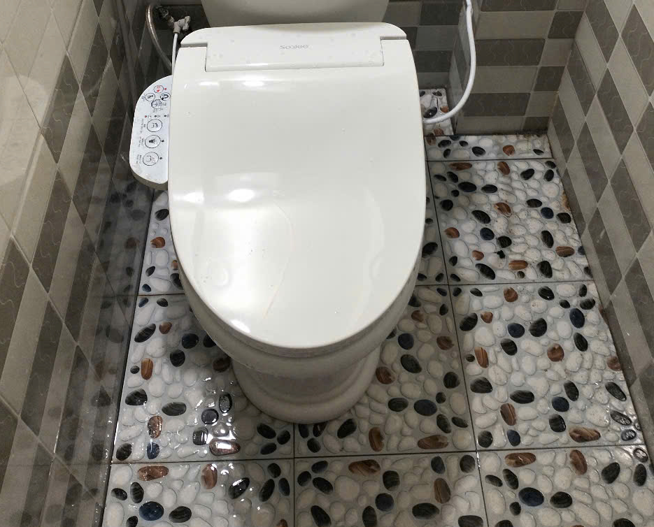 Sưởi Ấm và Điều Chỉnh Nhiệt Độ Hoàn Hảo Với Nắp Bồn Cầu WG905Z